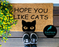 Hope you like cats Doormat