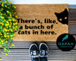 There's like a bunch of cats in here Doormat